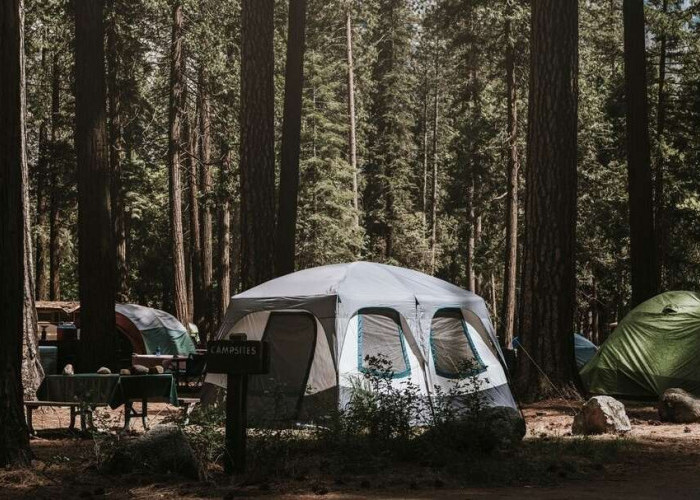 Isi Liburan Akhir Tahun dengan Camping and Fun Edisi Curug Mangku Wonosobo, dari Bakar Sate hingga Bernyanyi