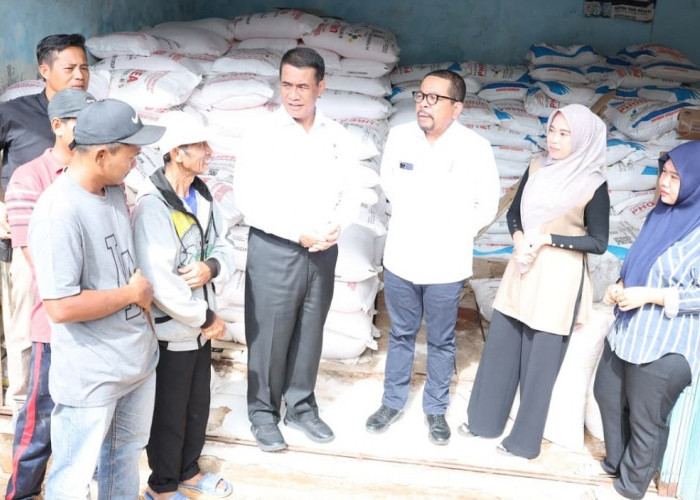 Mentan Amran dan KSP Qodari Sidak Kios Pupuk, Petani Tersenyum Harga Pupuk Turun
