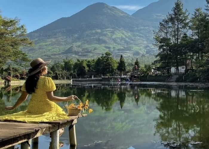 Nikmati Keindahan Telaga Bedakah yang Jernih dengan View Gunung Sindoro dan Kembang yang Instagramable!