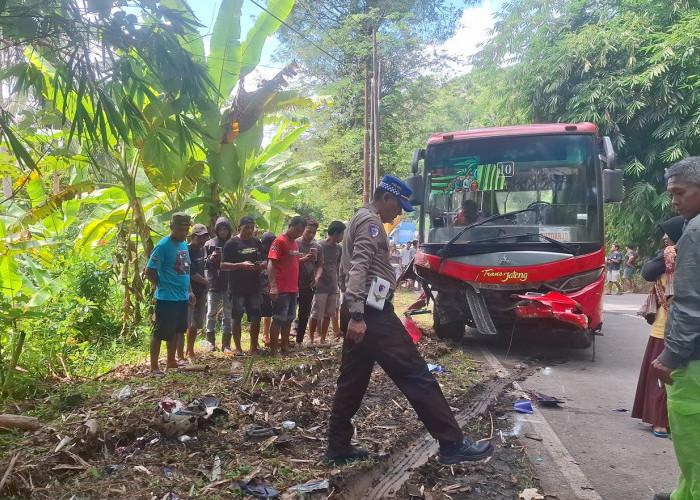 Kecelakaan Beruntun di Jalur Purworejo–Magelang, 1 Tewas usai Motor Rem Mendadak Hindari Kucing