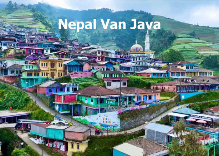 Nepal Van Java