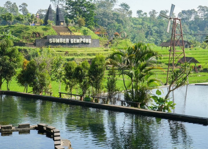 Desa BRILiaN Ketapanrame, Bukti Pemberdayaan Berbasis Potensi Lokal Mampu Ciptakan Ekonomi Desa yang Maju dan 