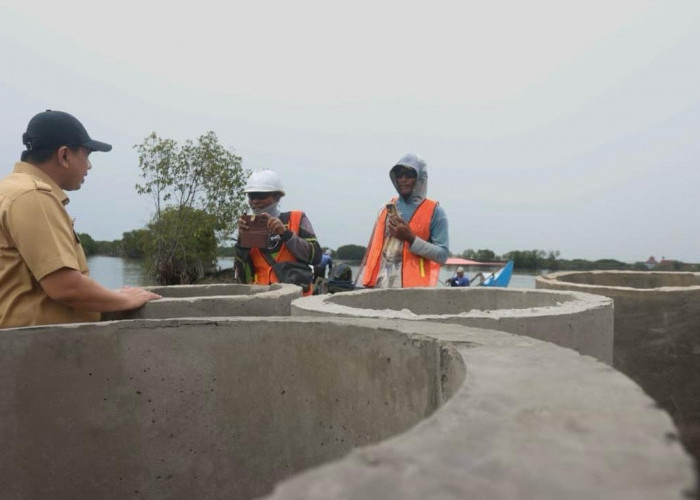 Tanggul Pantai Demak Dikebut, Warga Surodadi Berharap Tambak Kembali Produktif