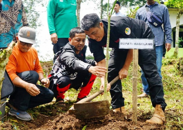 Kawasan Gunung Payung Kajoran Ditanami Ribuan Bibit Pohon 