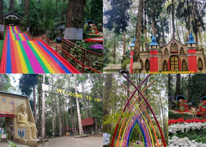 Lawu Green Forest, Destinasi Wisata Alam di Magetan Yang Cocok Untuk Mengisi Liburan Akhir Tahun 