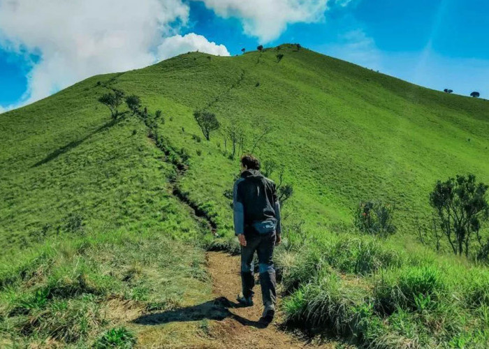 Puncak Gunung Merbabu 