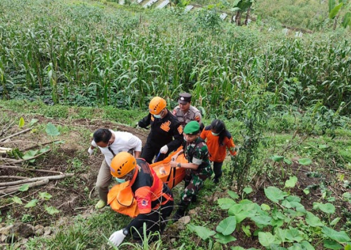 Cari Daun Pisang, Warga Bangsri Wonosobo Temukan Mayat