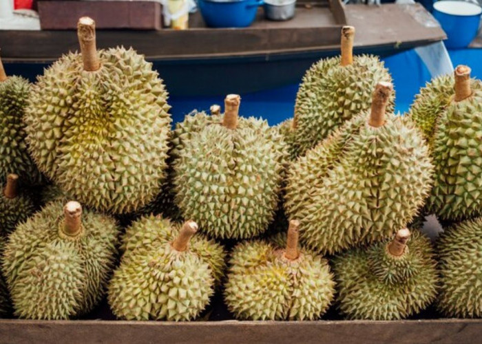 Dusun Gajian: Destinasi Berburu Durian yang Melimpah Ruah di Magelang, Pecinta Durian Wajib Tahu! 