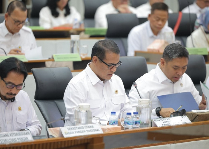 Komisi IV DPR RI Puji Ketegasan Mentan Amran: Harga TBS Sawit, Telur, dan Ayam Mulai Naik