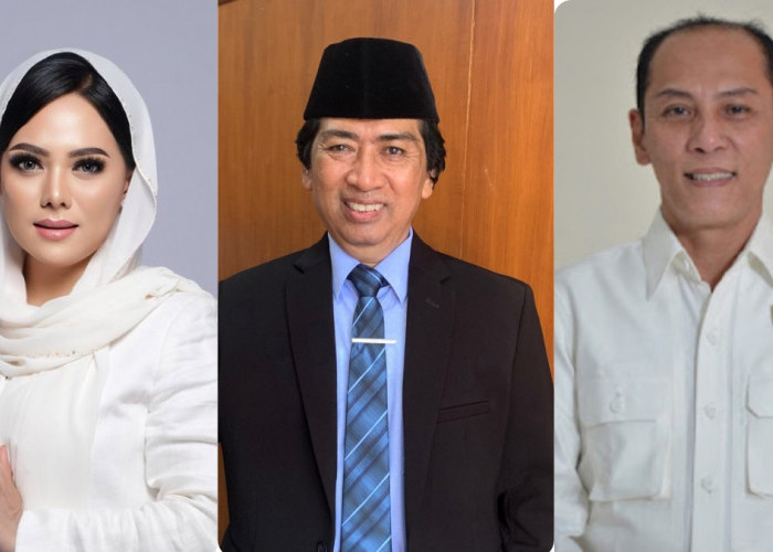 3 Caleg Partai Demokrat Kota Magelang Diprediksi Bertahan di Parlemen, Siapa Saja?
