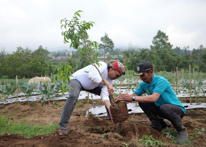 Gerakan SAPA Ansor Temanggung Dimulai, Tanam Pohon dan Tebar Benih Ikan di 20 Kecamatan