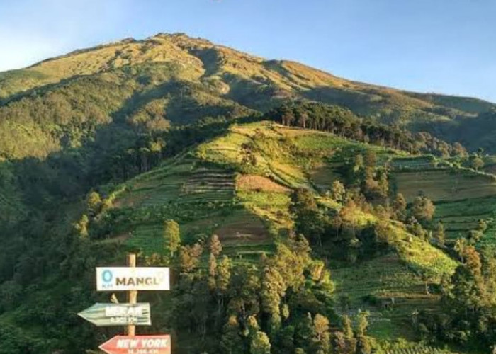 Patut Dikunjungi! Wisata Alam Mangli Sky View dengan Pemandangan Magelang yang Menakjubkan 