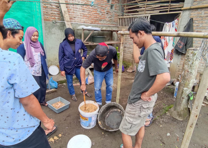 Urai Persoalan Sampah di Dusun Setan, Mahasiswa UNIMMA Budidaya Maggot dengan Memanfaatkan Limbah Organik