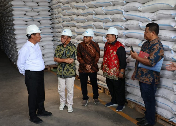 Mentan Amran Pastikan Stok Beras Nasional Aman, Gudang Bulog Penuh, Stok 5,3 Juta Ton