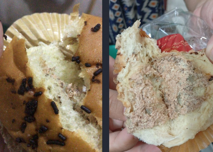 Viral! SPPG Giyanti Temanggung Diinvestigasi, Diduga Beri Makanan Tak Layak ke Siswa MBG