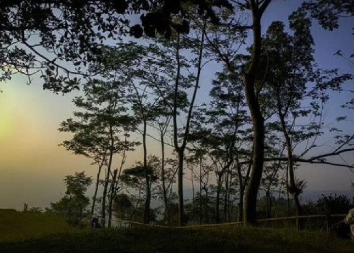 Keindahan View Sunrise Gunung Gajah Telomoyo