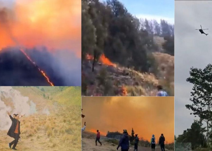  Kebakaran di Gunung Bromo Akibat Flare Prewedding Berhasil Dipadamkan