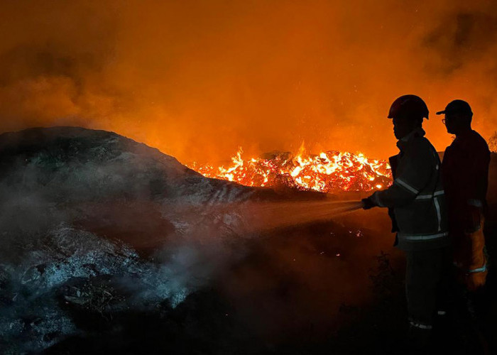 Kebakaran Tumpukan Limbah Kayu di Salam Magelang, Pemadaman Butuh 8 Jam