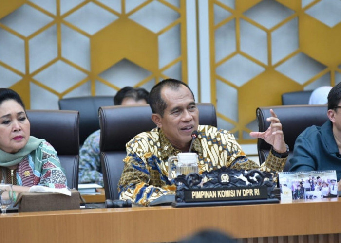Komisi IV DPR RI Soroti Distorsi Informasi Swasembada Pangan, Lihat Data dan Fakta
