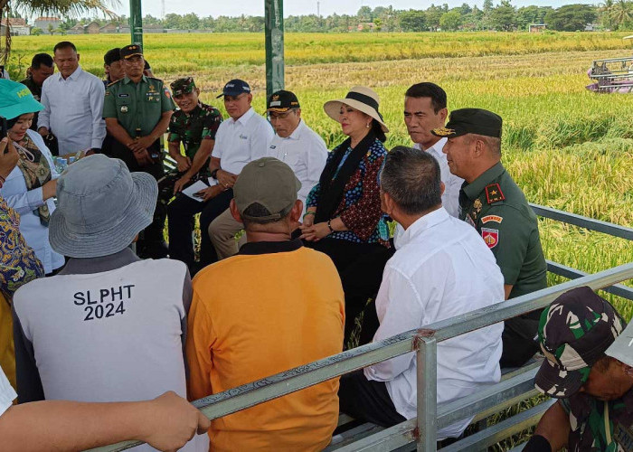 Siti Hediati Hariyadi bersama Menteri Pertanian, Andi Amran Sulaiman saat berbincang dengan petani di lokasi panen padi Desa Triharjo, Kapanewon Pandak, Kebupaten Bantul