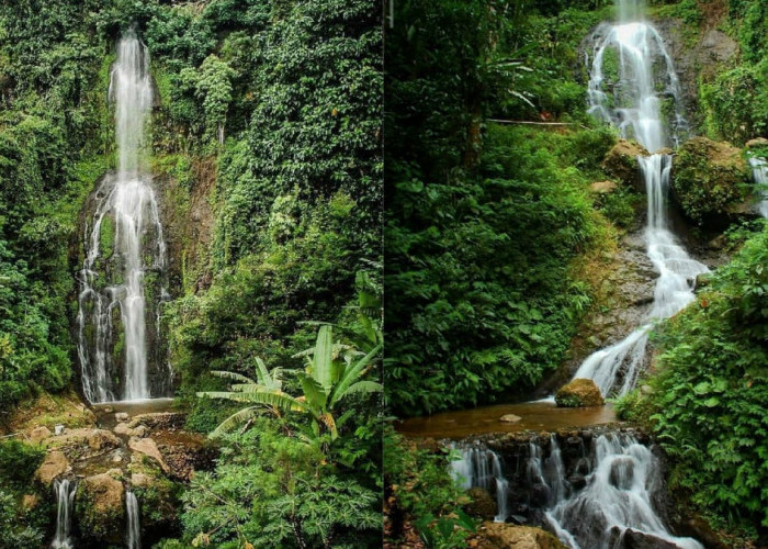 Pesona Keindahan Curug Drimas, Wisata Tersembunyi Di Balik Hutan Pinus Yang Cocok Untuk Menghilangkan Penat