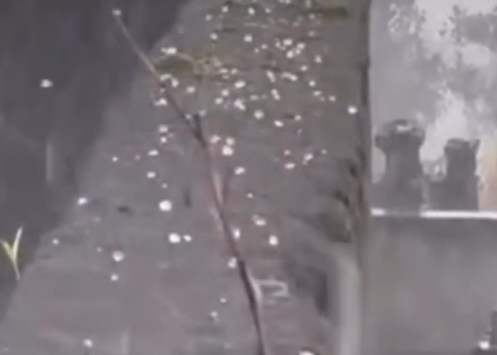 Hujan Es dan Angin Kencang Terjang Babadan Dukun Magelang, BPBD Benarkan Kejadian