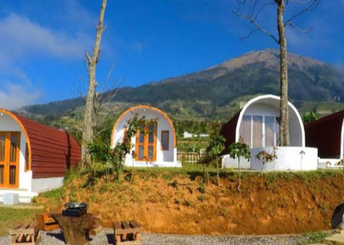 Trianggulasi Glamping