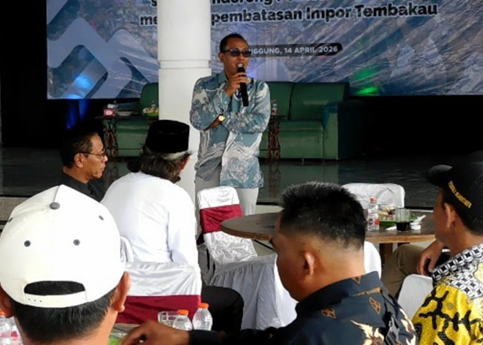 Petani Tembakau Temanggung Desak Pemerintah Batasi Impor, Panen Lokal Terancam