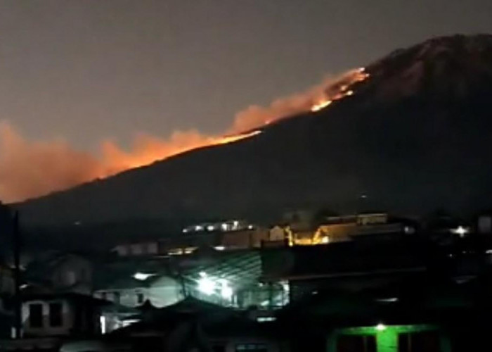 WASPADA! Kebakaran Gunung Sumbing Berpotensi Merembet ke Magelang