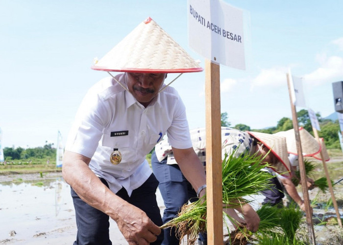 Brigade Pangan Aceh Besar Gelar Gerakan Tanam Serempak untuk Perkuat Produksi Padi Nasional