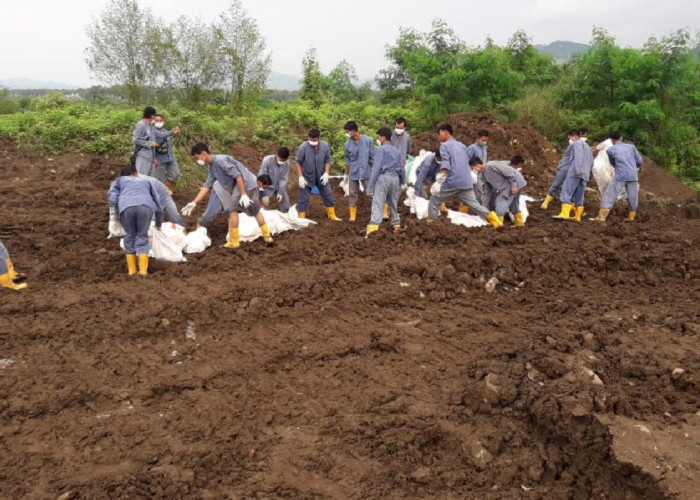 Proses penguburan ribuan ekor ayam yang mati di PT Japfa Jembayat Margasari Tegal, Kamis (6/3). Eri/Magelang Ekspres