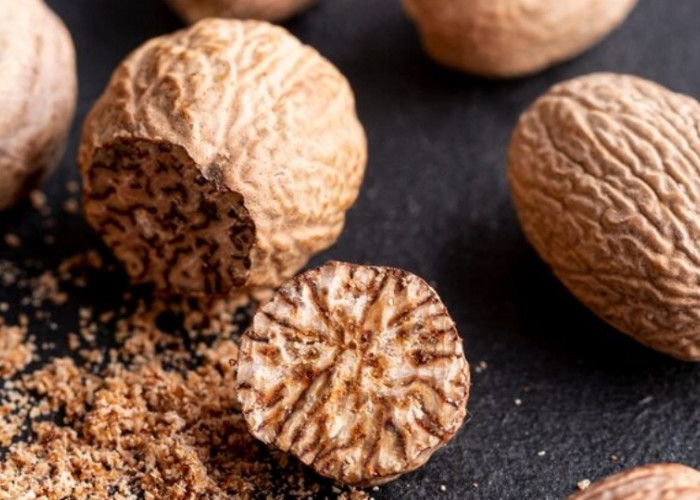 Kampung Kebonpolo Magelang, Penghasil Buah Pala yang Jadi Incaran Bangsa Eropa