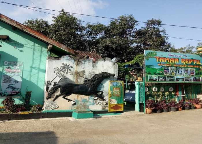 Cuma Rp 10 Ribu! Taman Edukasi Adimulyo Banyak Koleksi Hewan Reptil yang Langka 