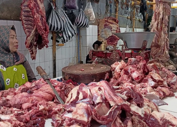Harga Daging Sapi di Temanggung Naik Jadi Rp145 Ribu per Kg, Stok Dipastikan Aman