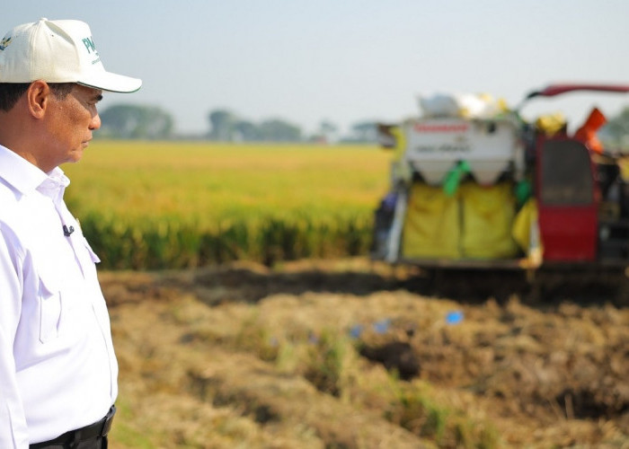 Mentan Amran: PM-AAS Gandakan Hasil Panen, Pendapatan Petani Ikut Naik