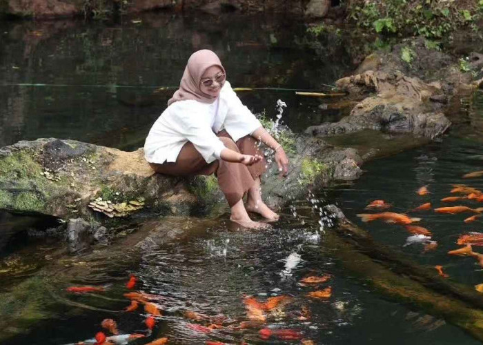 Wisata gratis di Mata Air Mudal Wonosobo