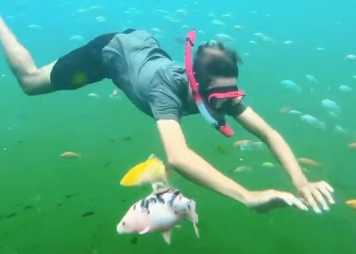 Snorkeling di Magelang? Taman Wisata Air Kalibening Jadi Rekomendasinya
