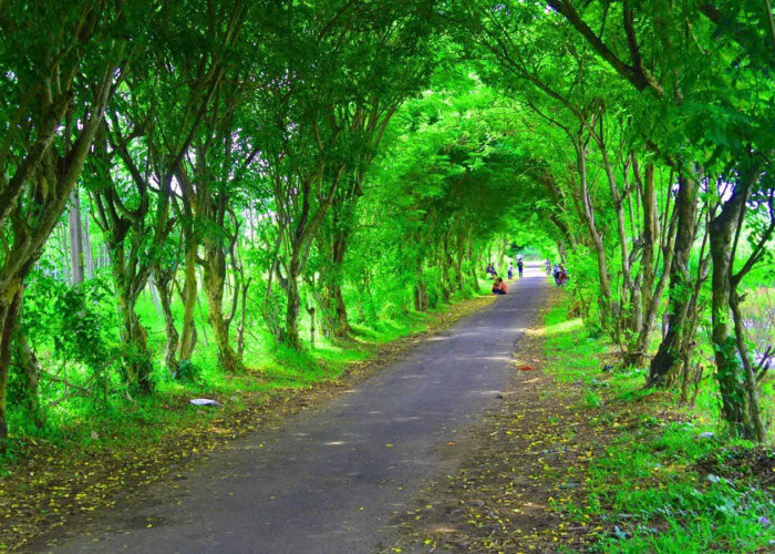 Jalan Desa Kembang Lampir Bandongan yang sempat viral