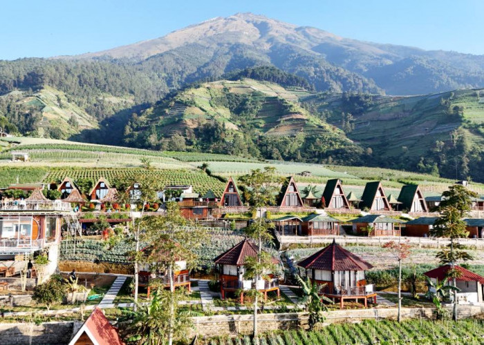 Malio Sky Resort Penginapan Anyar Terdekat Silancur Tawarkan Sensasi Klasik dengan Tarif Kompetitif