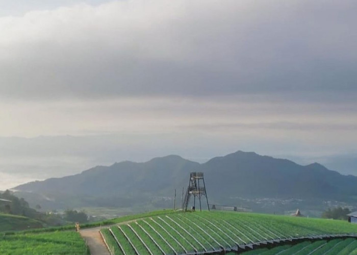 Objek Wisata Nampan Sukomakmur di Magelang