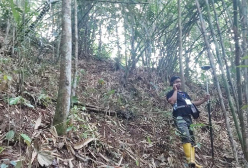 Pembebasan Lahan di Desa Wadas Purworejo Terus Berlanjut, Pengukuran Tahap Kedua Tergetkan 230 Bidang Tanah