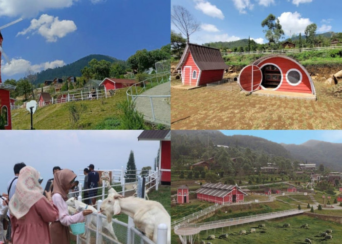 Nikmati Libur Weekend di Little Ranch Semarang, Hadirkan Suasana Peternakan Ala Selandia Baru Wajib Dikunjungi