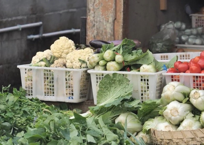 Mengenal Desa BRILian Sumowono, Desa Sayur yang Tumbuh dan Terus Berinovasi Bersama BRI