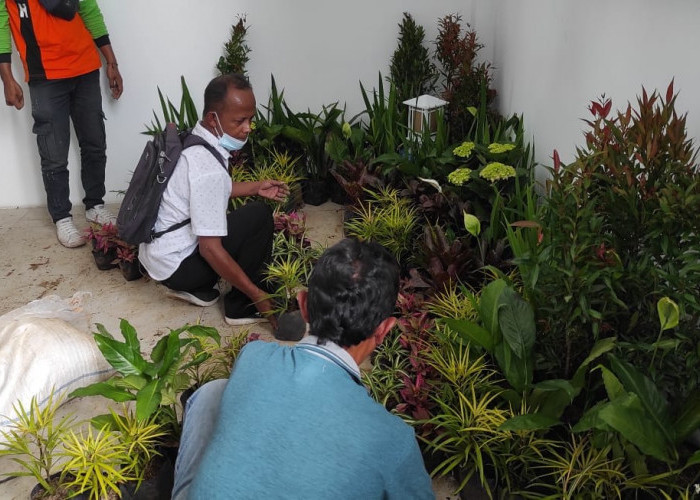 Hari Kedua Pelatihan Perawatan Taman, Peserta Antusias Bikin Dekor Mini Garden