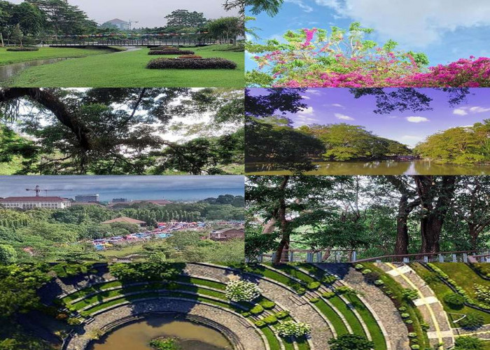 Wisata Gratis di Tengah Kota Yogyakarta Wisdom Park UGM: Tempat Belajar dan Bermain yang Sejuk dan Nyaman