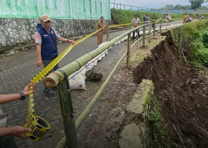 BPBD Temanggung Asesmen Longsor Jalan Desa Mangunsari, Talud Ambrol 15 Meter