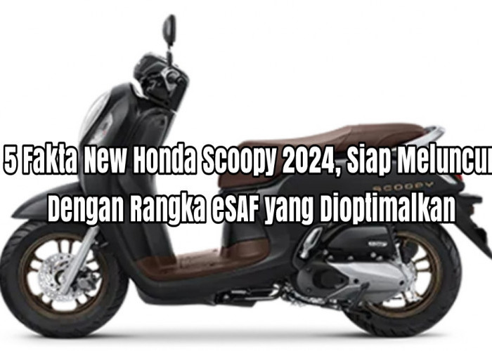 5 Fakta New Honda Scoopy 2024, Siap Meluncur dengan Rangka eSAF yang Telah Dioptimalkan