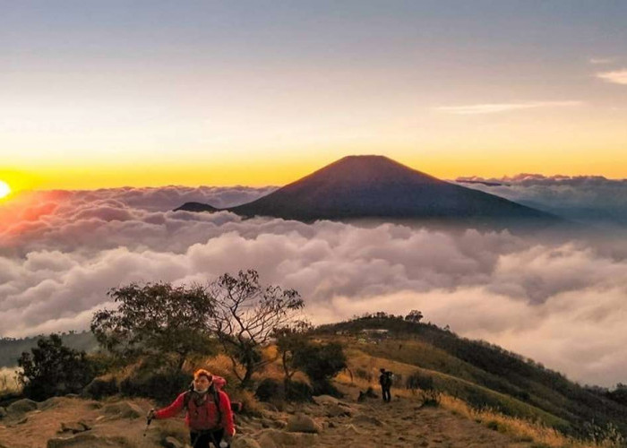 Mitos atau Fakta? Pos Pendakian Pasar Watu Tempat Paling Horor di Gunung Sumbing
