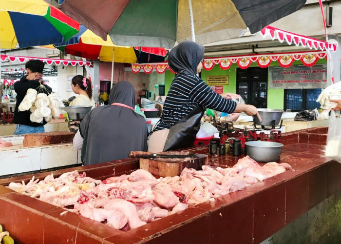 Harga Daging Ayam di Magelang Tembus Rp 45.000, Pembeli Mulai Mengeluh