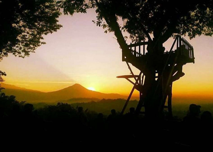 Wisata Magelang Bukit Barede, Surga Fotografi dengan Pemandangan Alam yang Memukau Jelajah Alam dan Budaya